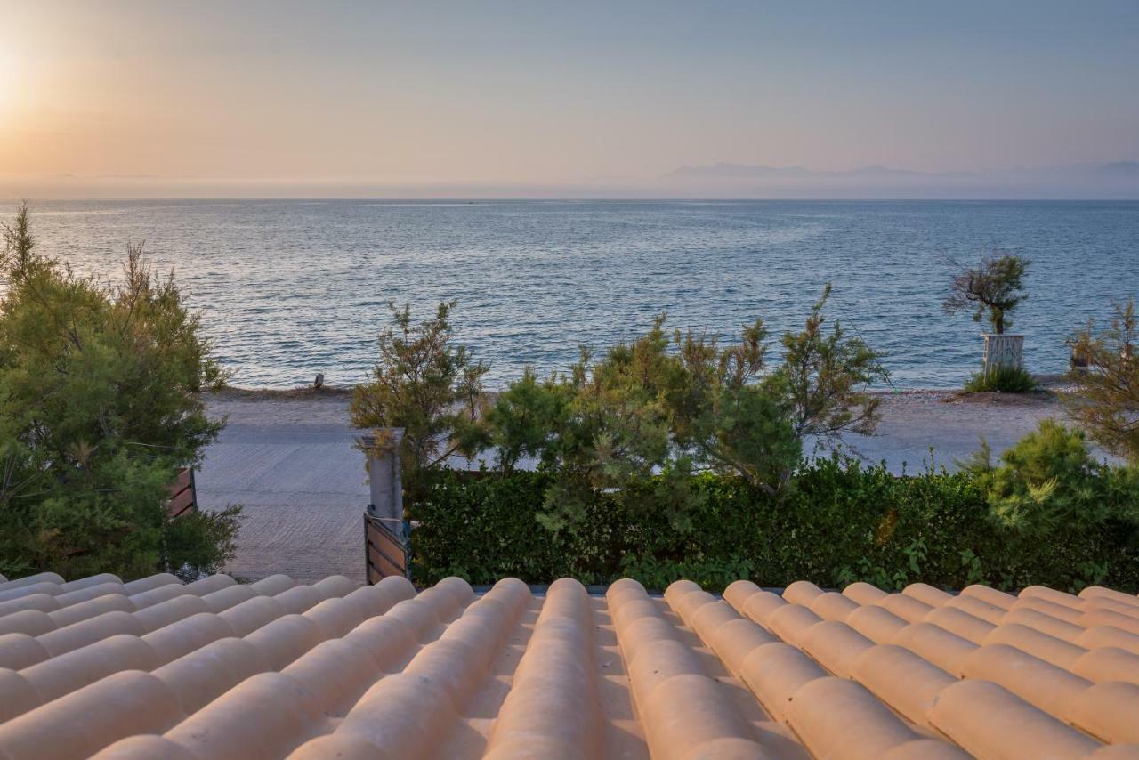 Tamaris Beach House Aharávi Kültér fotó
