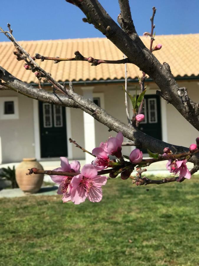 Tamaris Beach House Aharávi Kültér fotó