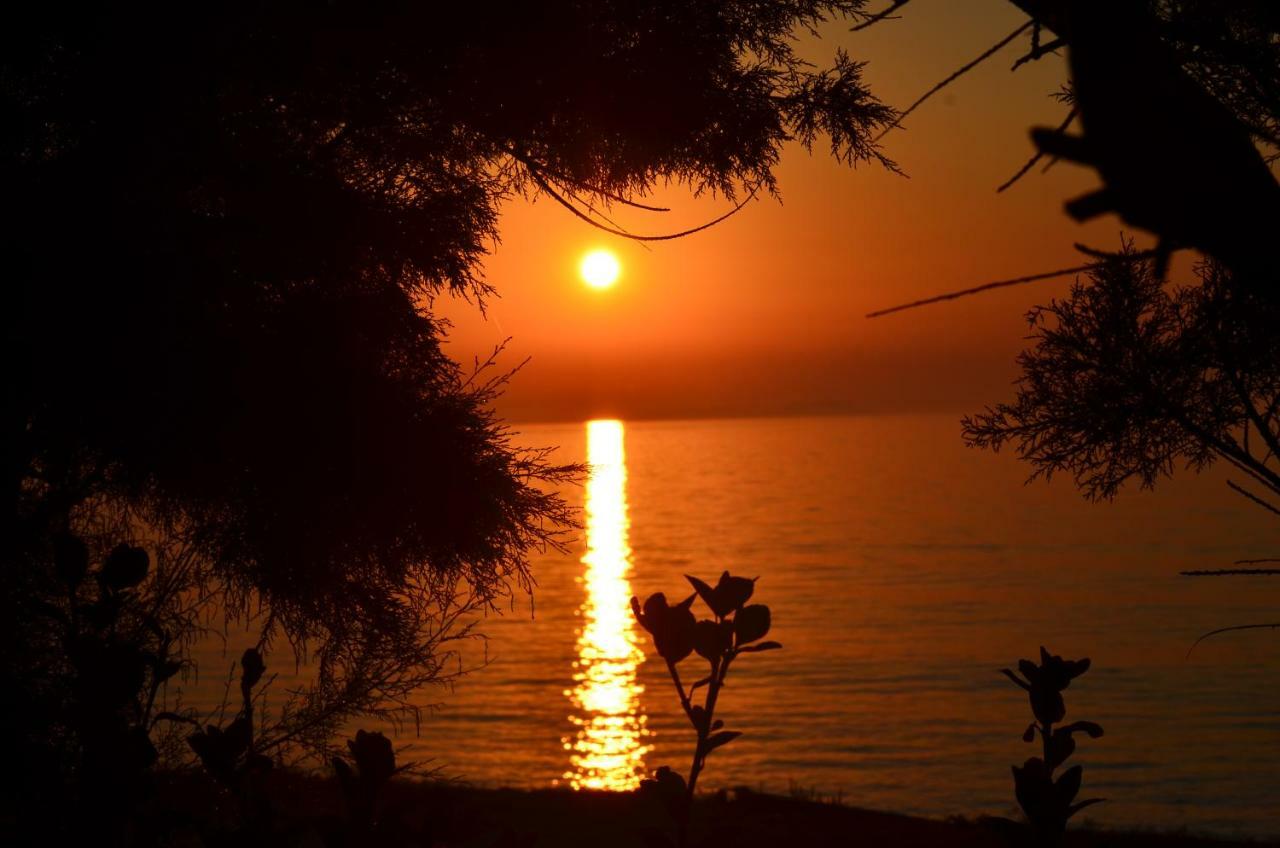 Tamaris Beach House Aharávi Kültér fotó